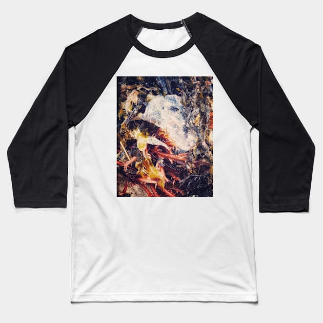 Seaweed studies 92 Baseball T-Shirt by goodieg